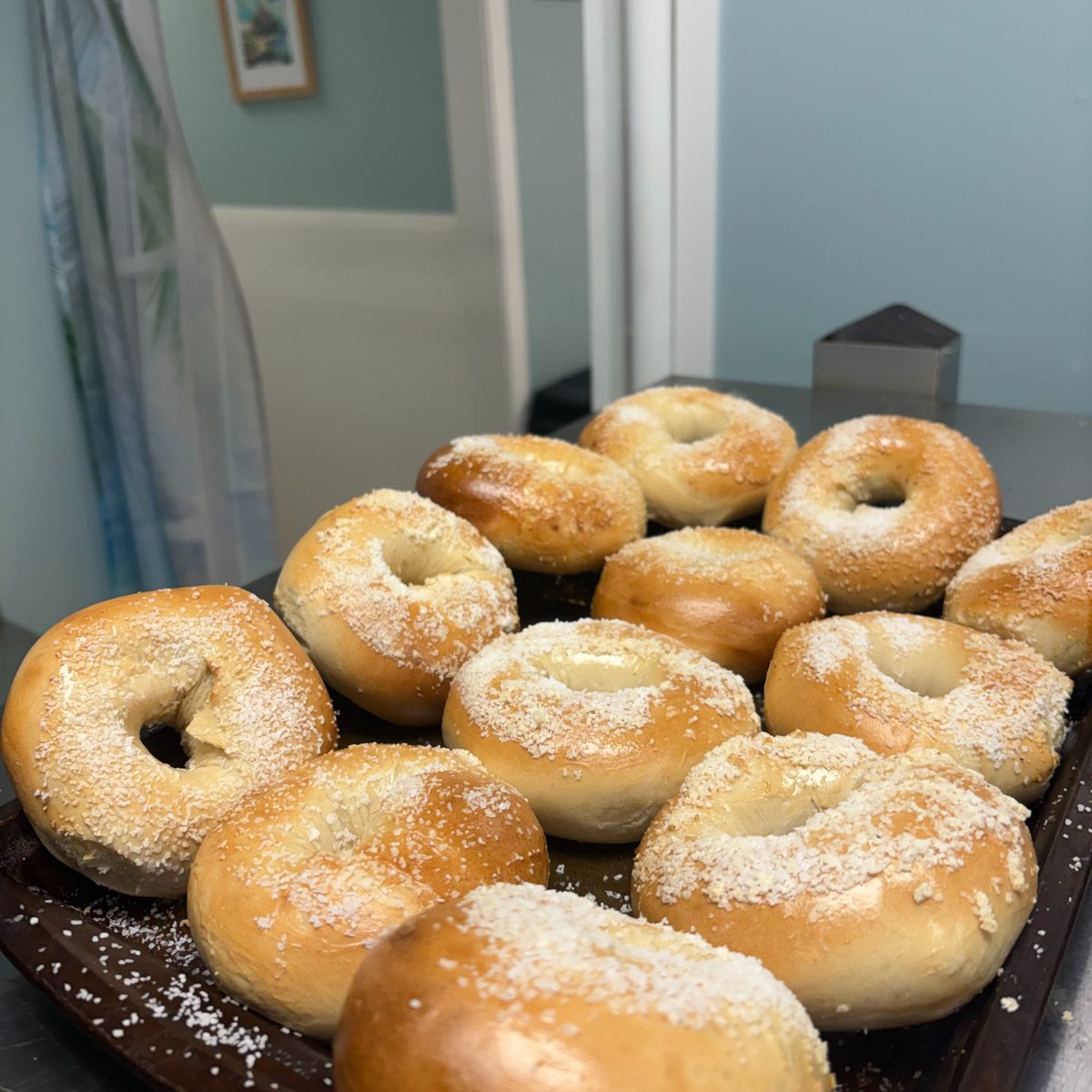 Real Bagels, Done Right